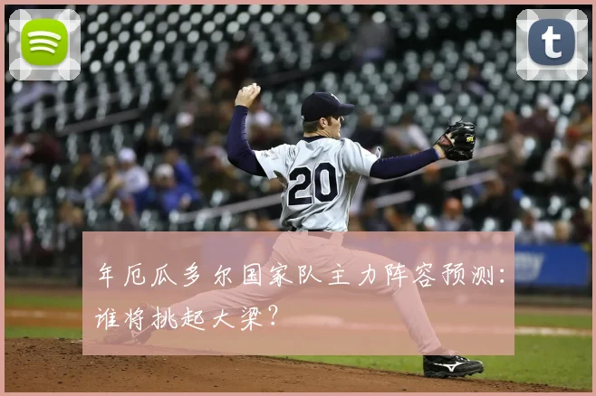年厄瓜多尔国家队主力阵容预测:谁将挑起大梁?